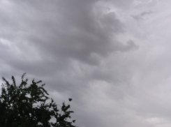 Кратковременные дожди и жара до 29 градусов ожидаются в Волгодонске