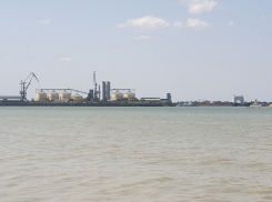 Через Волгодонск вывезли на экспорт более полумиллиона тонн зерна