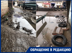 «Пусть администрации будет стыдно»: волгодончанка сняла квест, которые преодолевают посетители «Центрального рынка»