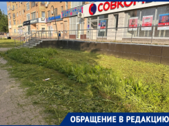 «Ноу-хау от коммунальных служб?»: необычный метод стрижки газонов запечатлели волгодонцы