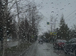 Осторожно, скользкая дорога: водителей призывают быть внимательными на дорогах в дождь