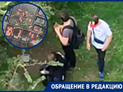 «Сегодня собаки, завтра - люди»: волгодончанка подозревает подростков в раскладке крысиного яда