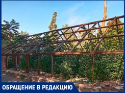 «Была теплица для юных биологов, а стала свалка»: волгодончанка о школе №8 