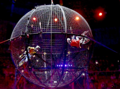 10 бесплатных* билетов в цирк могут получить жители Волгодонска