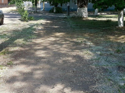 Об опасности поджога тополиного пуха напомнили волгодонцам