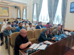 Запретили продавать алкоголь возле «Юноны» и отменили правила содержания питомцев: как прошло заседание Думы в Волгодонске