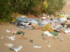 В Волгодонске городской пляж и прилегающую территорию почистят от мусора и сухих деревьев