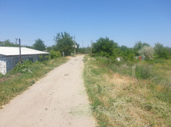 66 лет назад было принято решение о наделении волгодонцев дачными участками