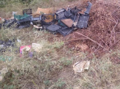 Прокуратура заинтересовалась красноярскими свалками