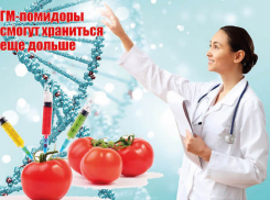 Английские ученые вывели новый генномодифицированный сорт помидоров, способный храниться дольше обычных