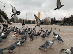 Сильный ветер и небольшой дождь ожидаются сегодня в Волгодонске 