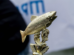 Чемпионат Волгодонска по ловле спиннингом с берега пройдет на реке Сал