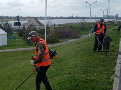 Покосом травы в Волгодонске занимаются три подрядчика