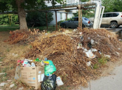 Стихийную свалку ликвидировали коммунальщики в проблемной точке города