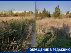 Состояние парка «Молодежный» вызывает массу возмущений у жителей Волгодонска 