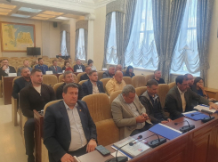 «Стоп, прогульщики!»: в Думе Волгодонска разработали серию мер по борьбе с отлынивающими от работы депутатами 