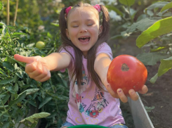 Главный секрет щедрого урожая – правильный выбор семян