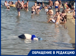 «Ничего человеческого»: волгодонцы о купающихся возле утонувшей женщины в Романовской