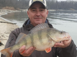 Волгодонские рыболовы заняли все призовые места и удивили своим клевом жюри онлайн-турнира по рыбалке