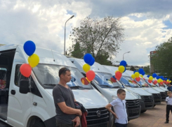 Многодетные семьи с 8 и более детьми из Волгодонска и Волгодонского района получили микроавтобусы