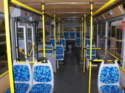 Льготники Волгодонска за год накатали 869 745 поездок в общественном транспорте