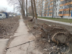 Сваленные ветки на улице Гагарина уберут до конца апреля