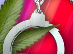 В 2014 году за незаконный оборот наркотиков в Волгодонске привлекли к уголовной ответственности 124 человека