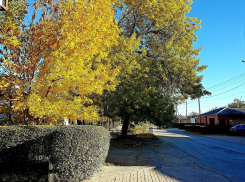 Холодная ночь и солнечное утро: о погоде на среду