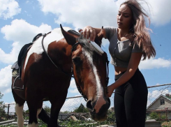 «Поседевшая грива, душераздирающие крики и грусть в глазах»: конный клуб столкнулся с массовым заболеванием лошадей