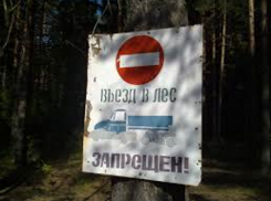 До 7 августа пребывание в лесах близ Волгодонска ограничили