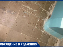 Полчища тараканов атаковали многоквартирные дома Волгодонска 