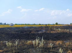 Из-за выброшенных стеклянных бутылок произошел крупный ландшафтный пожар в промзоне «Атоммаша» 