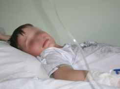 Дети из приюта в селе Дубовском отравились «травой дьявола»