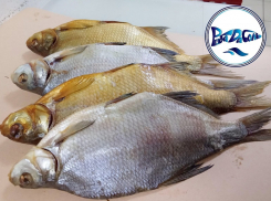 Товар дня: лещ «Цимлянский» средний всего 300 руб./кг