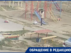 Бездомные кошки оккупировали детскую площадку в Волгодонске: жители боятся за своих детей