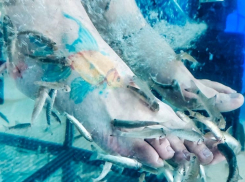 В чем заключается преимущество «пилинга рыбками» Гарра Руфа пояснили волгодонцам