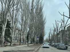 Более 100 новых лавочек установят на улице Ленина