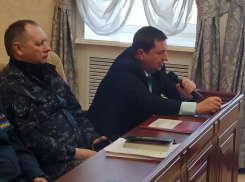 «Школы и больницы Волгодонска обращаются к спасателям за помощью в уборке поврежденных деревьев»: Олег Растегаев