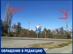 «Существует реальная угроза их падения»: волгодончанка обратила внимание на опасные деревья на Портовой