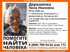 В Цимлянском районе пропала 88-летняя Нина Ивановна Дорошенко 