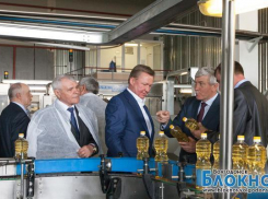 В Морозовске увеличится выпуск осветленного подсолнечного масла