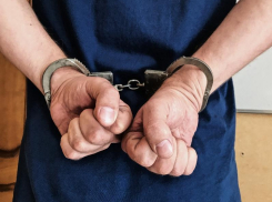 За демонстрацию полового органа детям 69-летний житель Цимлянска проведет в тюрьме более 12 лет