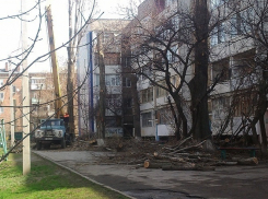«Нет денег на валку сухостоев, которые могут упасть и человека прибить?» – депутаты волгодонской Думы