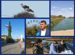 История любви, убранное знамя Победы и почему в Волгодонском районе сохнут сады: итоги недели от «Блокнота»