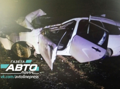 47-летний водитель «Лады» погиб в ДТП на трассе Волгодонск-Зимовники