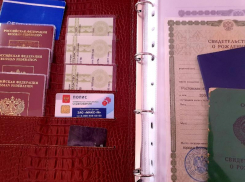 Кому в следующем году нужно заменить водительские права