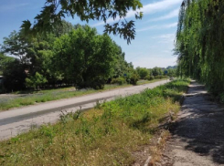 Власти Волгодонска назвали того, кто будет косить траву в городе