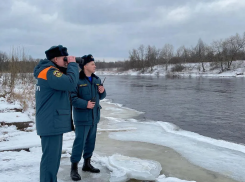 В Константиновске из реки подняли тело 36-летнего мужчины