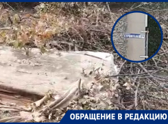 «Как заставить управляющую компанию работать?»: три месяца не вывозится куча мусора в одном из дворов Волгодонска