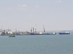 Летом из порта Волгодонска вывезли почти 100 тысяч тонн зерна